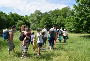 RANDONNÉE MILLE PATTES DANS LA VILLE ET LE PARC - 12 JUIN 2021